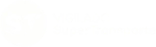 Vigilado SuperTransporte